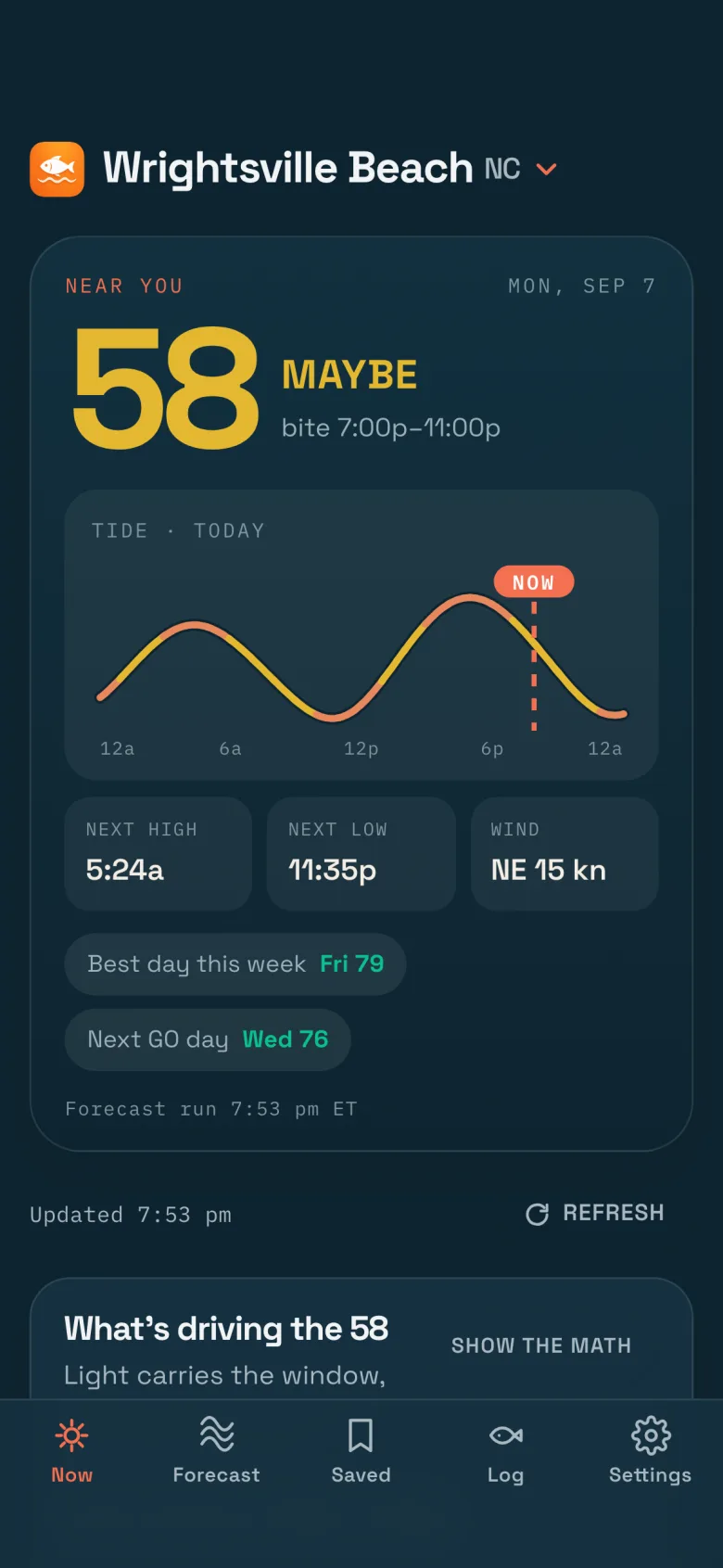 Should I Fish? app Now tab in dark mode with the home-screen widget score
